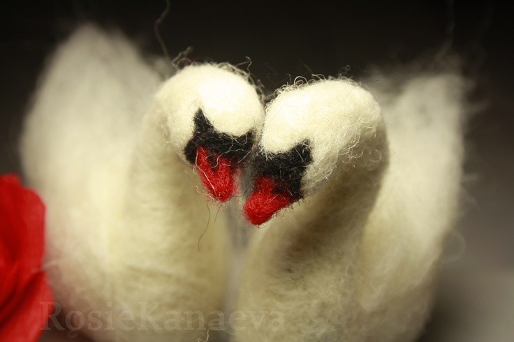 Photo:  petit swans